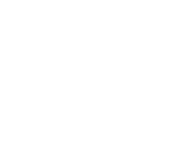 3 Leadership We are visionary and strategic  in our business and will invest  in individual development  and provide recognition,  encouragement and  direction.